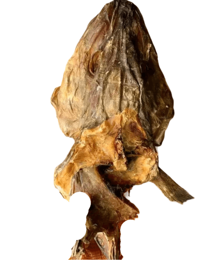Big stockfish head