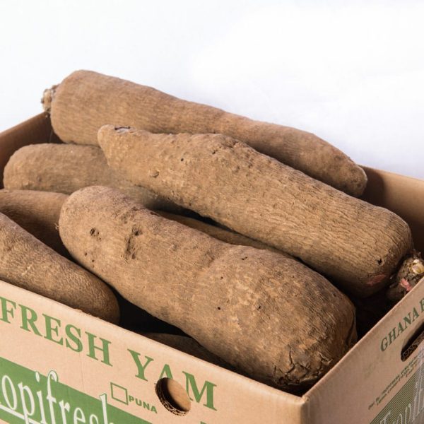 Big Tuber of yam